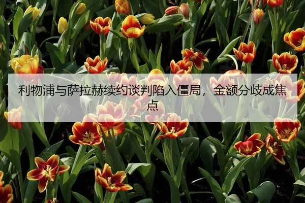 利物浦与萨拉赫续约谈判陷入僵局，金额分歧成焦点