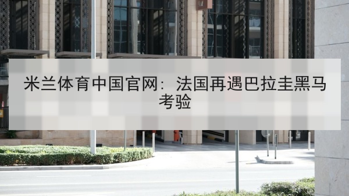 米兰体育中国官网: 法国再遇巴拉圭黑马考验